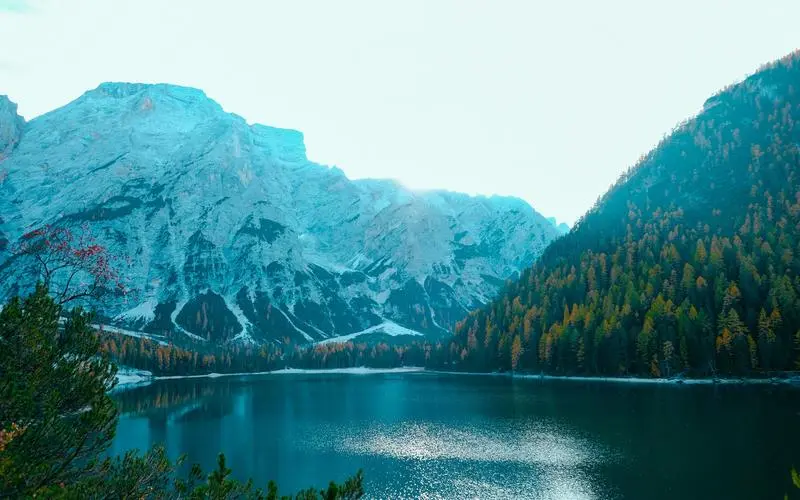 稳定性智能